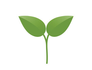 Green sprouted plant with two leaves illustration. Seedling, planting and spring design element. Isolated vector image