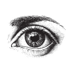 human eye vector design isolated on white background