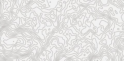 Abstract contours form digital landscape, mimicking terrain of technological advancements and innovation.Concept of technology, science. Wallpaper. Pattern.Vector illustration.
