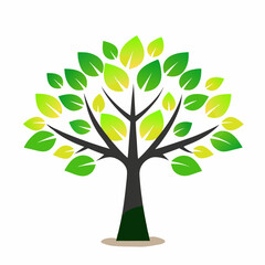 Obraz premium flower design vector