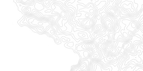 Abstract geometric topography curve grid map and topo contour map on white background. Seamless pattern with lines Topographic map design.	
