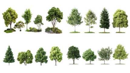 Collection of various tree types, showcasing diverse foliage and shapes against a transparent background.