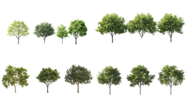 Collection of various trees with different shapes and colors, white isolated background.