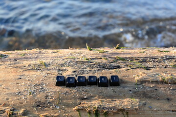 Keyboard letters spelling the word logout on a beached, weathered log, along the shore