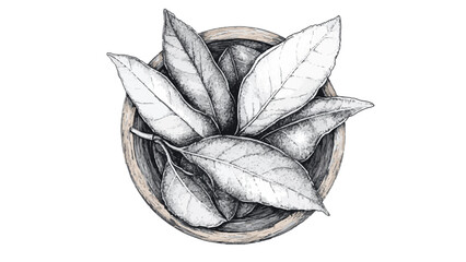 Hand-drawn Bay Leaves in a Bowl