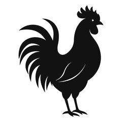 Rooster silhouette  isolated on white background