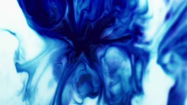 Ink splash. Wavy paint. Dissolution contrasting expansion blue dye on light opaque blur enamel. Intricate color ripples blend on acrylic surface.