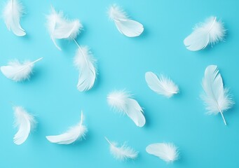 Obraz premium Soft White Feathers on Bright Blue Background for Creative Projects