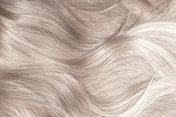 Blond hair close-up as a background. Women's long light brown hair. Beautifully styled wavy shiny curls. Hair coloring. Hairdressing procedures, extension.