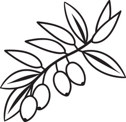 olives twigs and leaves line art, black outline, vector and illustration, coloring book page line art drawing