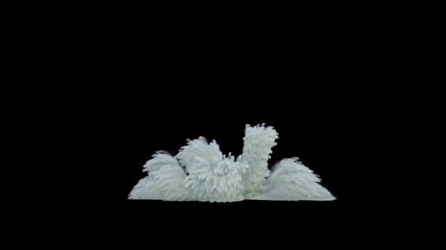 Massive water explosion on transparent background 
3d rendering with alpha channel of water simulation (the background is transparent)

