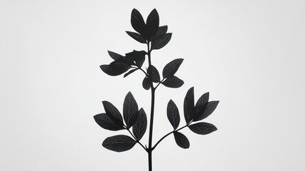 A black and white image of a plant with a stem and leaves.