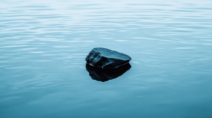 A large, dark rock floats on a calm body of water.