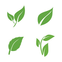 leaf nature icon vector illustration template design