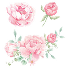 Watercolor Peonies, Png clipart, Peony flowers clipart, Romantic, Spring floral clipart, Wedding invite card, Blush Peony, Pink