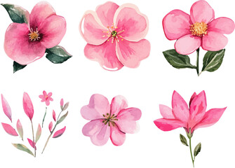set of pink flowers