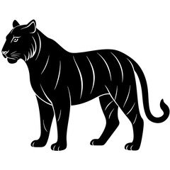 tiger vector illustration  silhouette  on white  background