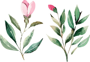 vector illustration of a bouquet