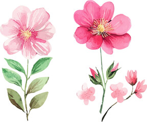 Naklejka premium pink and white flowers