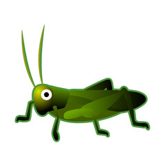 Grasshopper Clipart Illustration | Bright Green Insect Isolated on White Background