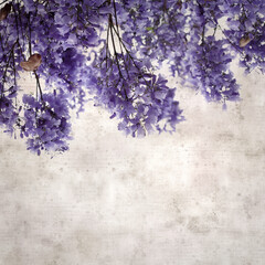 stylish square textured old paper background with Flowers of blue jacaranda, Jacaranda mimosifolia