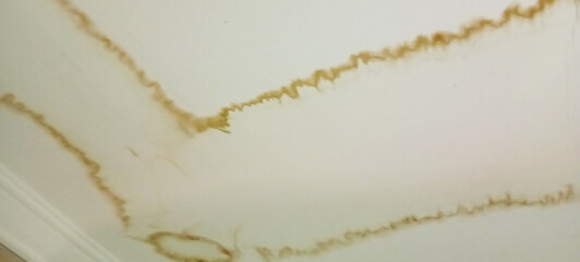 water and moisture damage damaged room ceiling.damaged and stained interior ceiling due to water leak.stained bathroom ceiling