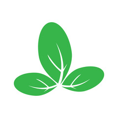 moringa leaves icon vector illustration template design