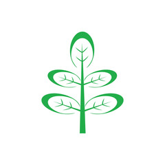 moringa leaves icon vector illustration template design