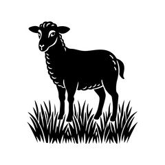 Sheep standing in a grassy field silhouette