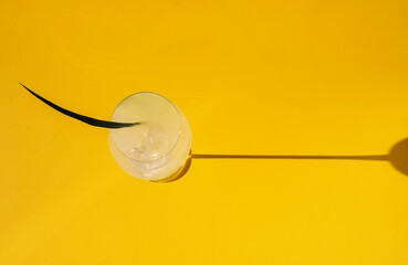 An elegant glass with sparkling spritz and a green leaf on a yellow background. Top view. Refreshing cocktail with sparkling wine and soda.