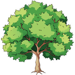 Big tree isolated on white background 