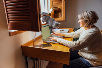An elderly woman in casual clothes is working on a laptop. A mature lady is typing on a computer....