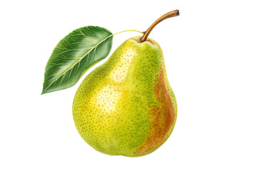 fresh pear fruit isolated onbackground white 