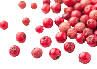 Peppercorn cutout isolated red spice ingredient seasoning culinary natural fresh flavor