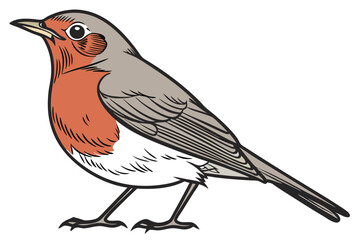 robin on a branch