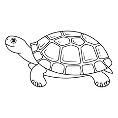 Creative and editable icons for infographics and branding