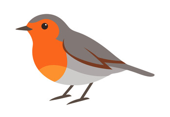 robin on a branch