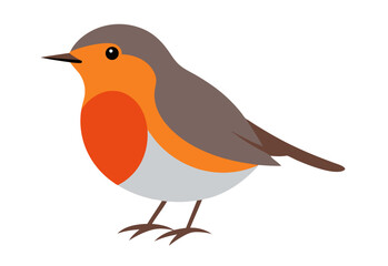 robin on a white background