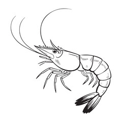 Creative and editable icons for infographics and branding