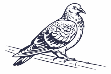 dove of peace