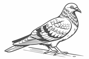 dove of peace