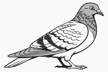 dove of peace