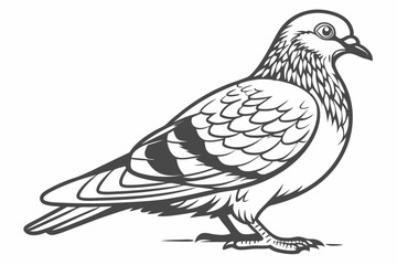 dove of peace