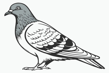 dove of peace