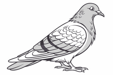 dove of peace