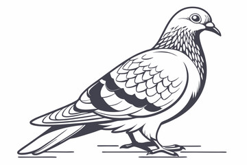 dove of peace