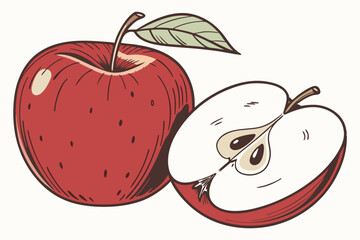vector illustration of an apple