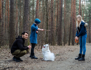 Fototapeta premium Two young women friends and a man play frisbee with a Samoyed dog in a spring park.