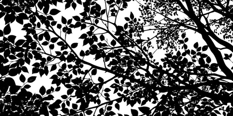 Black and White Silhouette of Tree Branches and Leaves