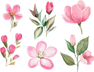 watercolor set of pink flowers